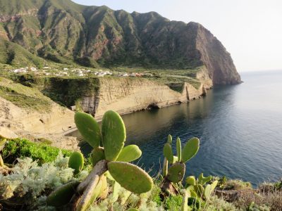 65242443_2352791988325087_6229196162667118592_o 65242443_2352791988325087_6229196162667118592_o